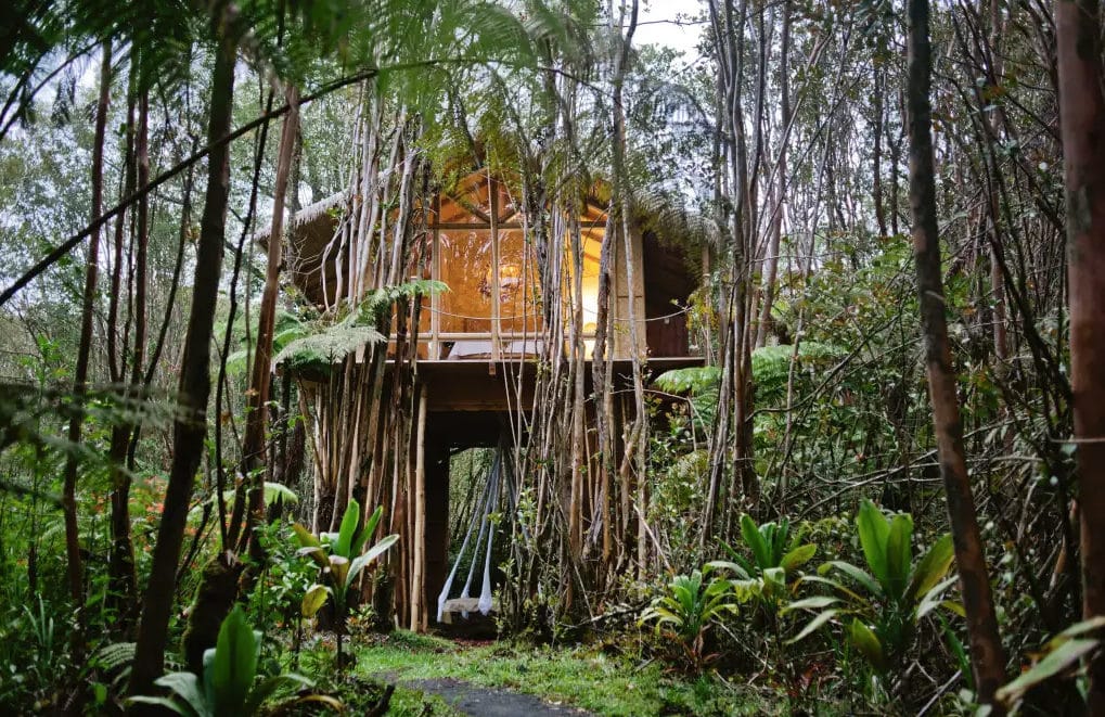 Our top properties of the week