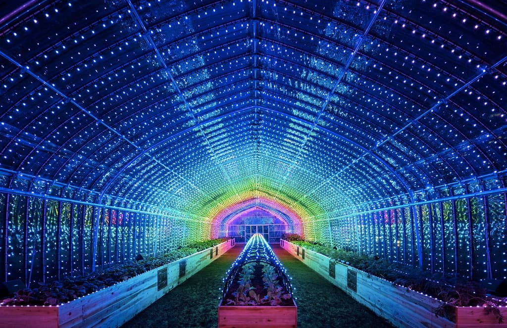 Psychedelic digital greenhouse springs up in Tokyo