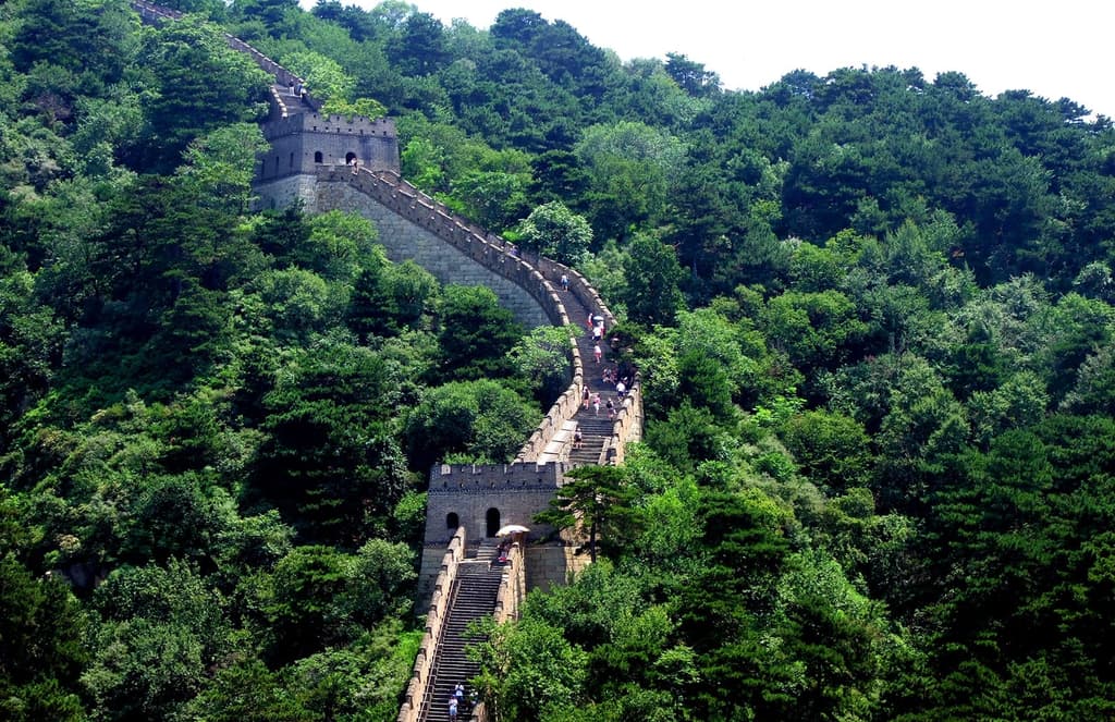China’s planting a forest the size of Ireland