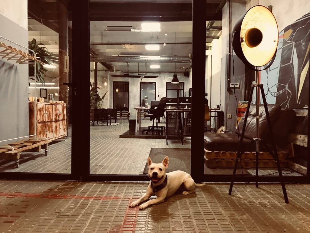 La Vaca coworking space