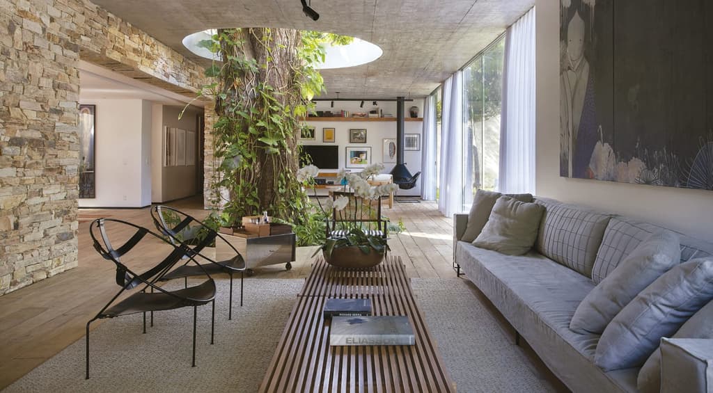 A home with a tree at its heart, designed by Alessandro Sartore in Rio de Janeiro, Brazil