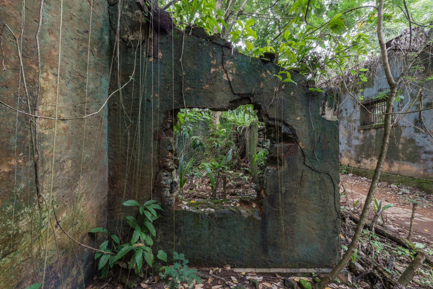 Explore the ruins of a notorious French penal colony