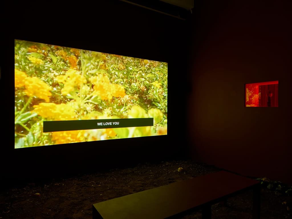 Laure Prouvost, ‘Into All That Is Here’, 2015