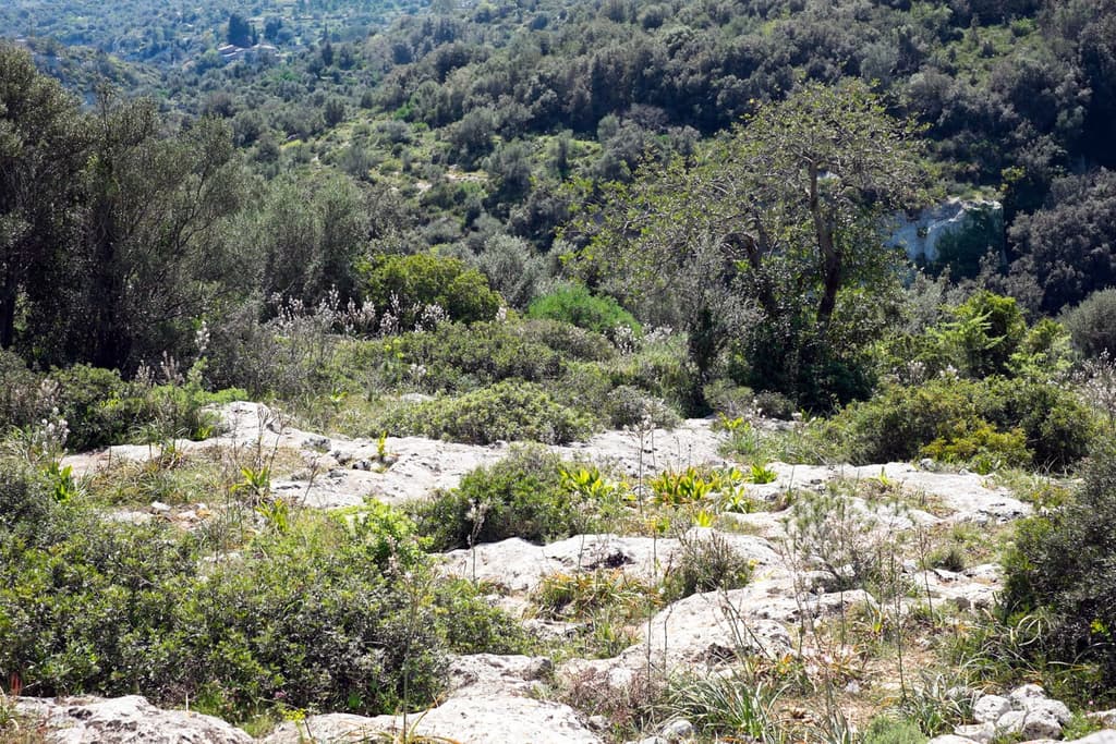 Gorgeous Sicilian estate in need of TLC lists for €850k