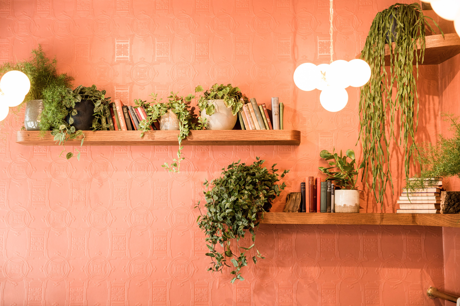 New London pub The Belrose has an Italian twist