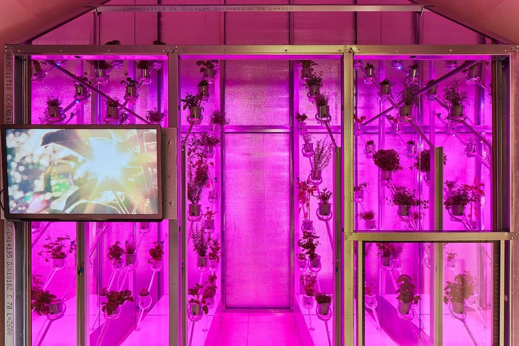 The Netherlands' pavilion at London Design Biennale 2018