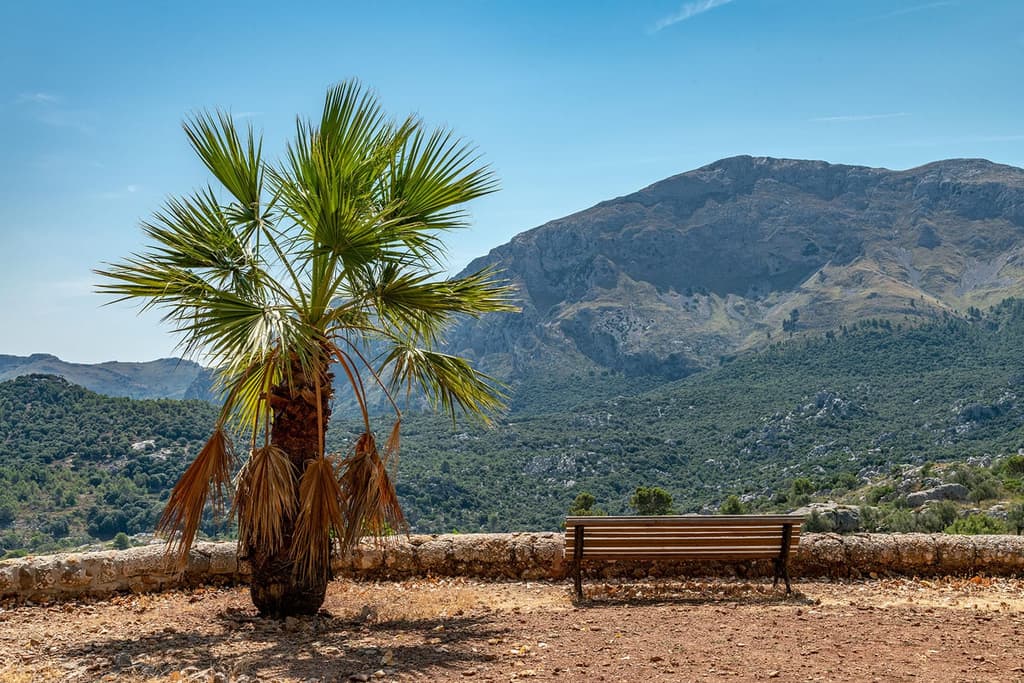 Mountainside Mallorcan finca with 550 acres of olive groves and acorn forest hits the market