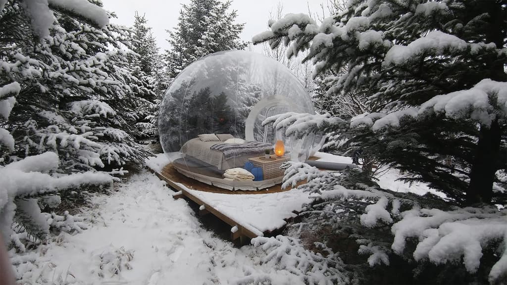 Bubble Hotel Iceland