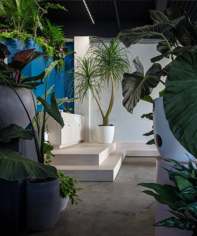 New York’s 'greenest' store throws open its doors The Spaces