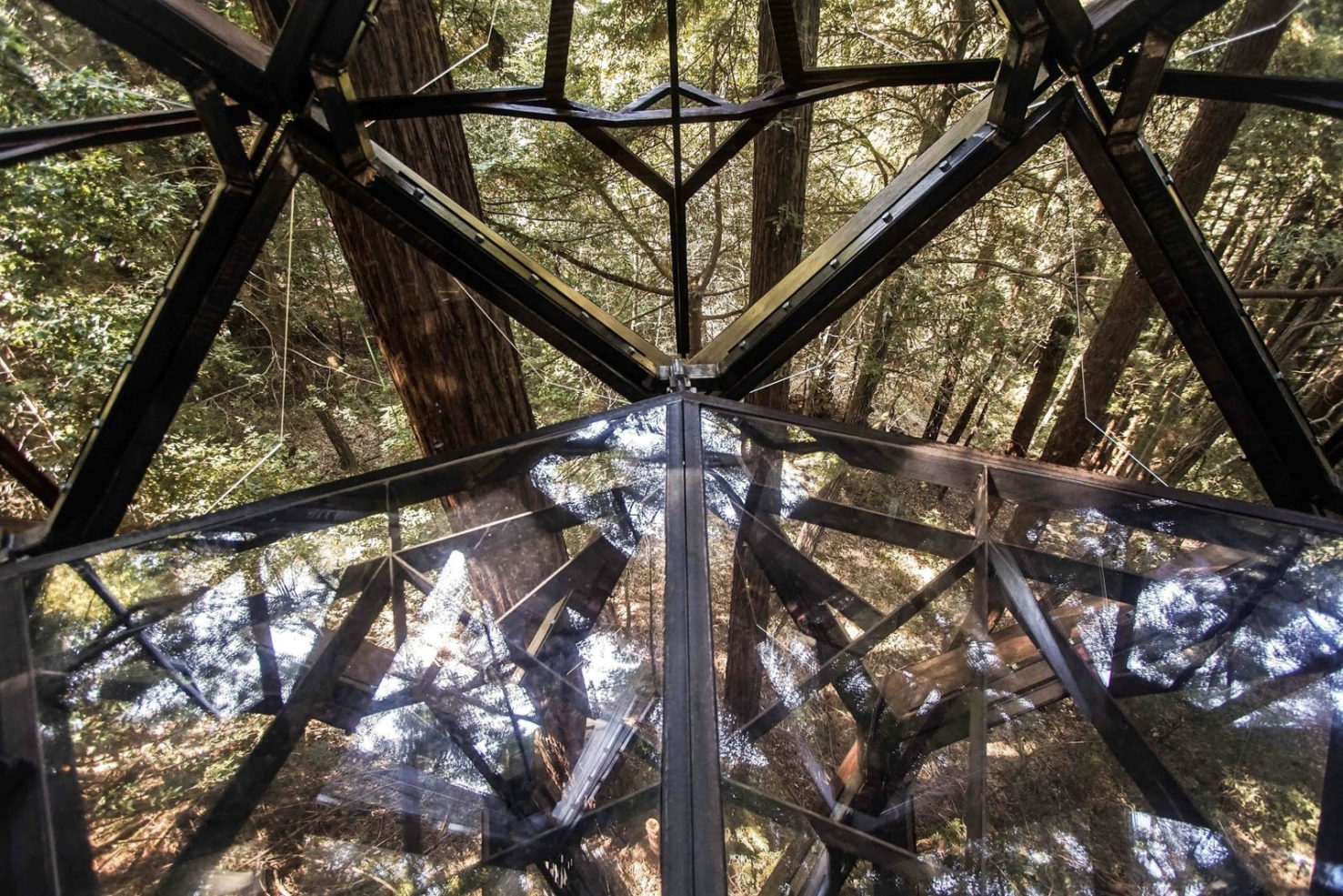 This Pinecone treehouse could be yours for 150,000 The Spaces