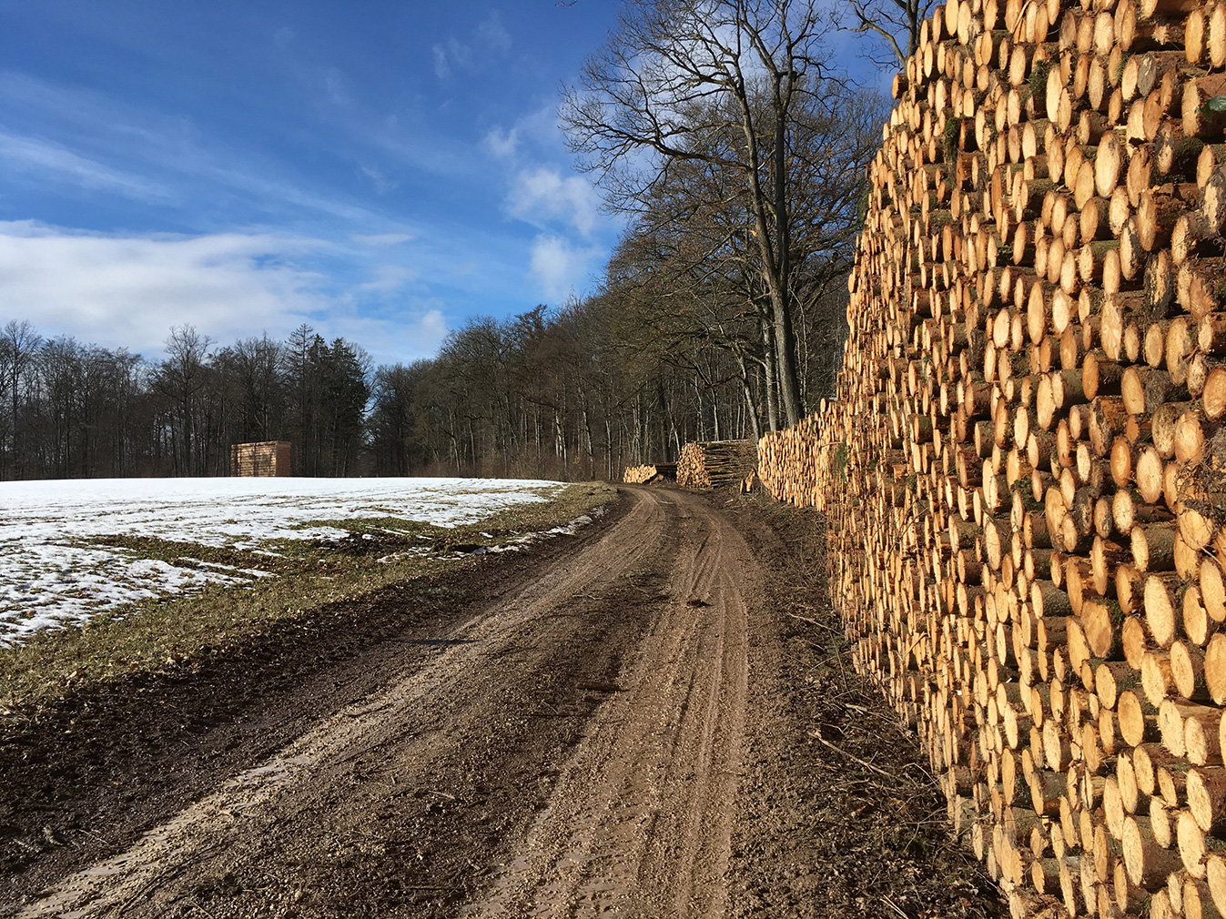 John Pawson designs a rustic chapel in the depths of the Bavarian Forest