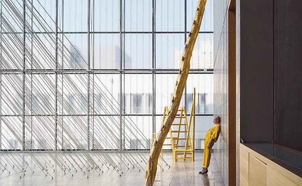 The spaces you like: 5 of your latest discoveries