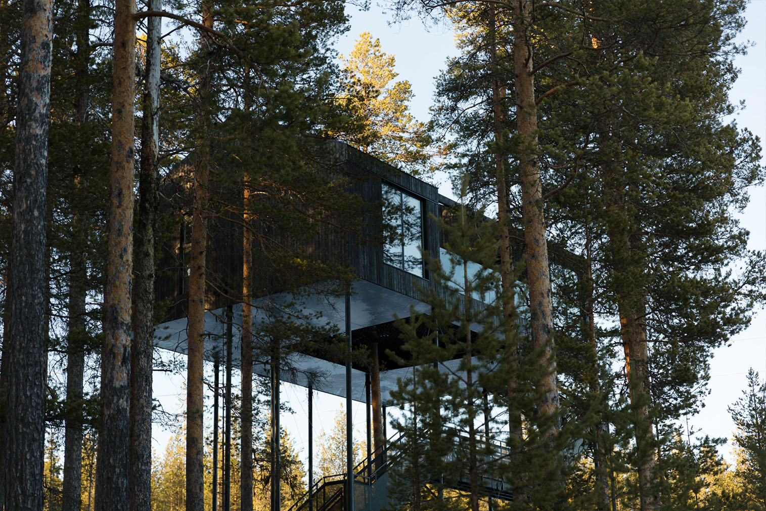 7th room at the tree hotel in Swedish lapland