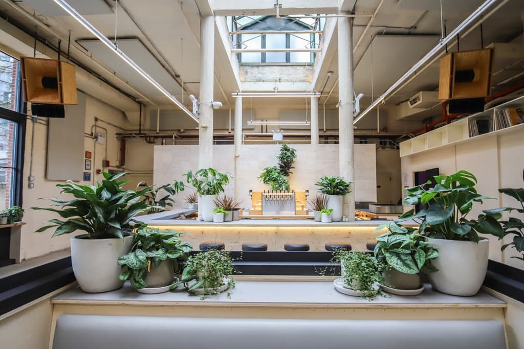 Public Records: A former animal sanctuary becomes a music space in Brooklyn