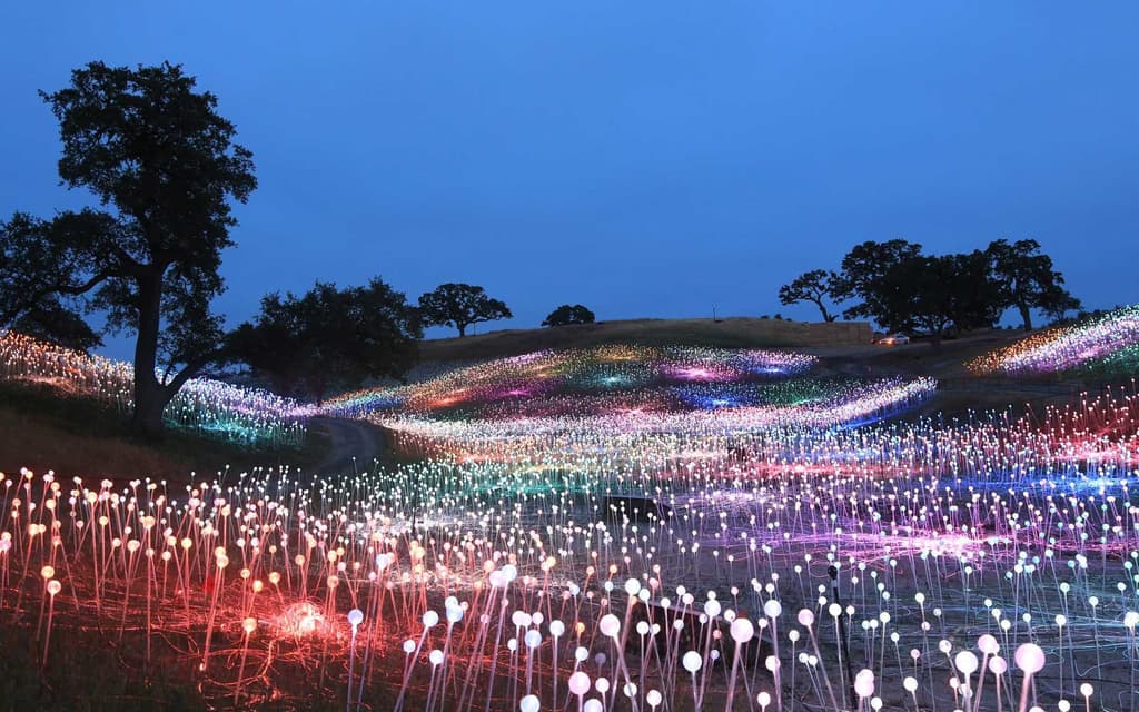 Nearly 60,000 twinkling LEDs light up the hills of Californian wine country