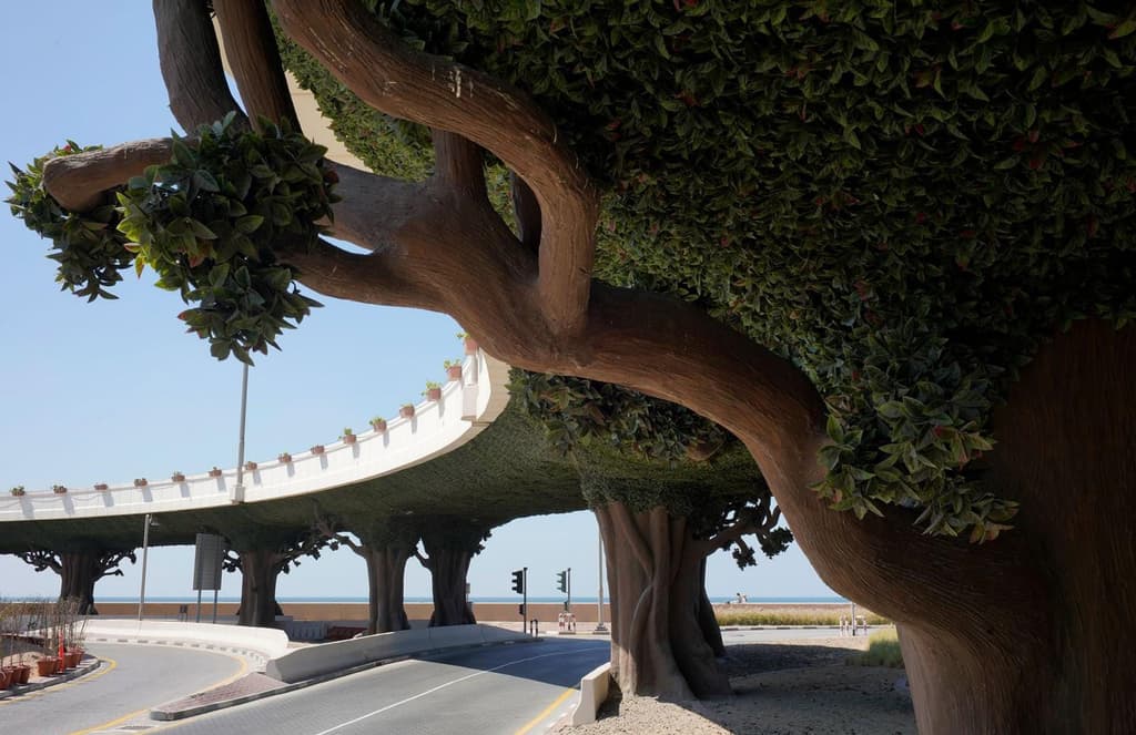 The Rencontres d’Arles: 5 must-see shows at the photography festival’s 50th edition