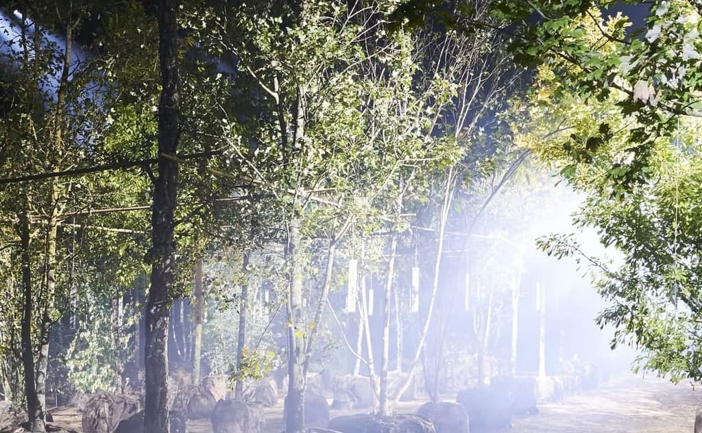 Dior grows a secret garden for its SS20 show