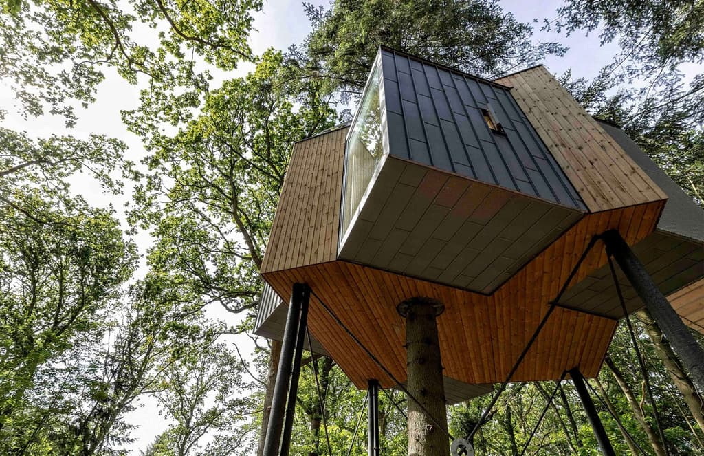 Løvtag cabin is built around a tree in Denmark