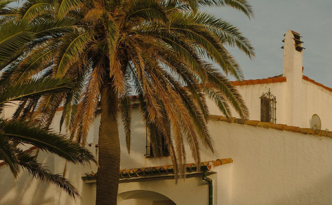 The spaces you like: 5 of your latest discoveries