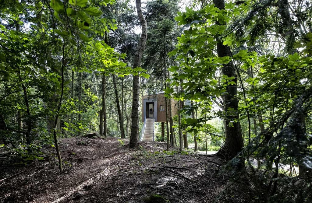 Lovotag treehouse hotel in Denmark