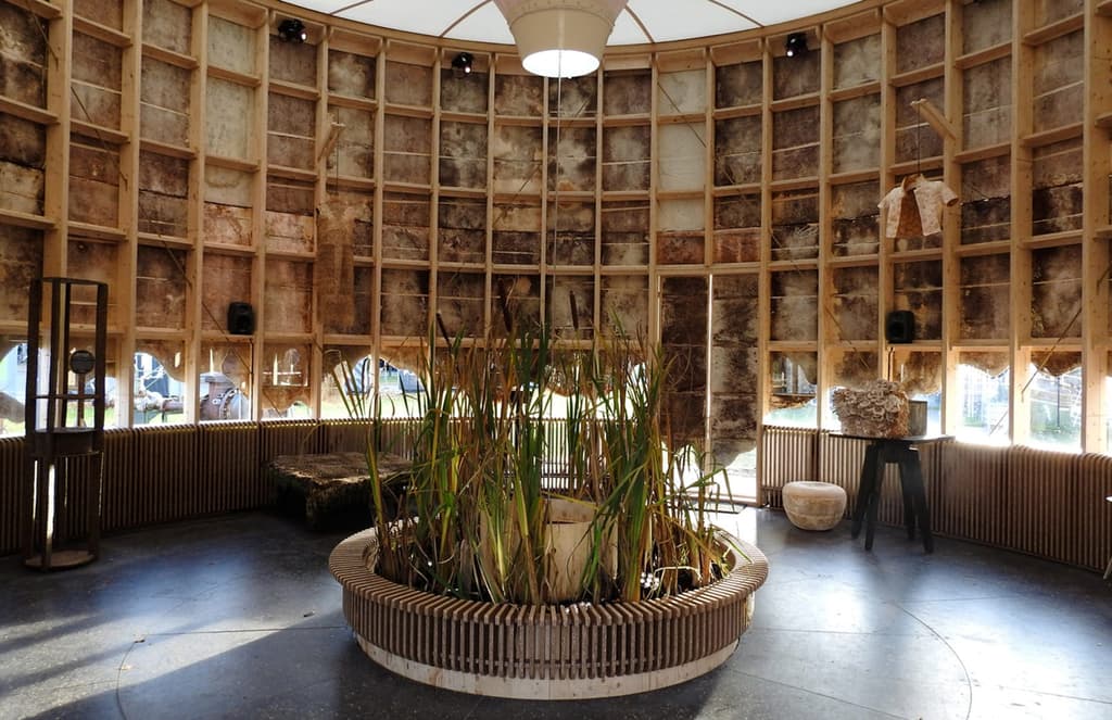 Organic architecture is taken to the extreme in Eindhoven with this mushroom pavilion