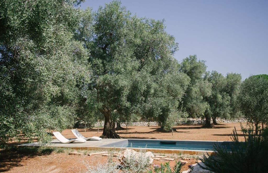 Our top properties of the week