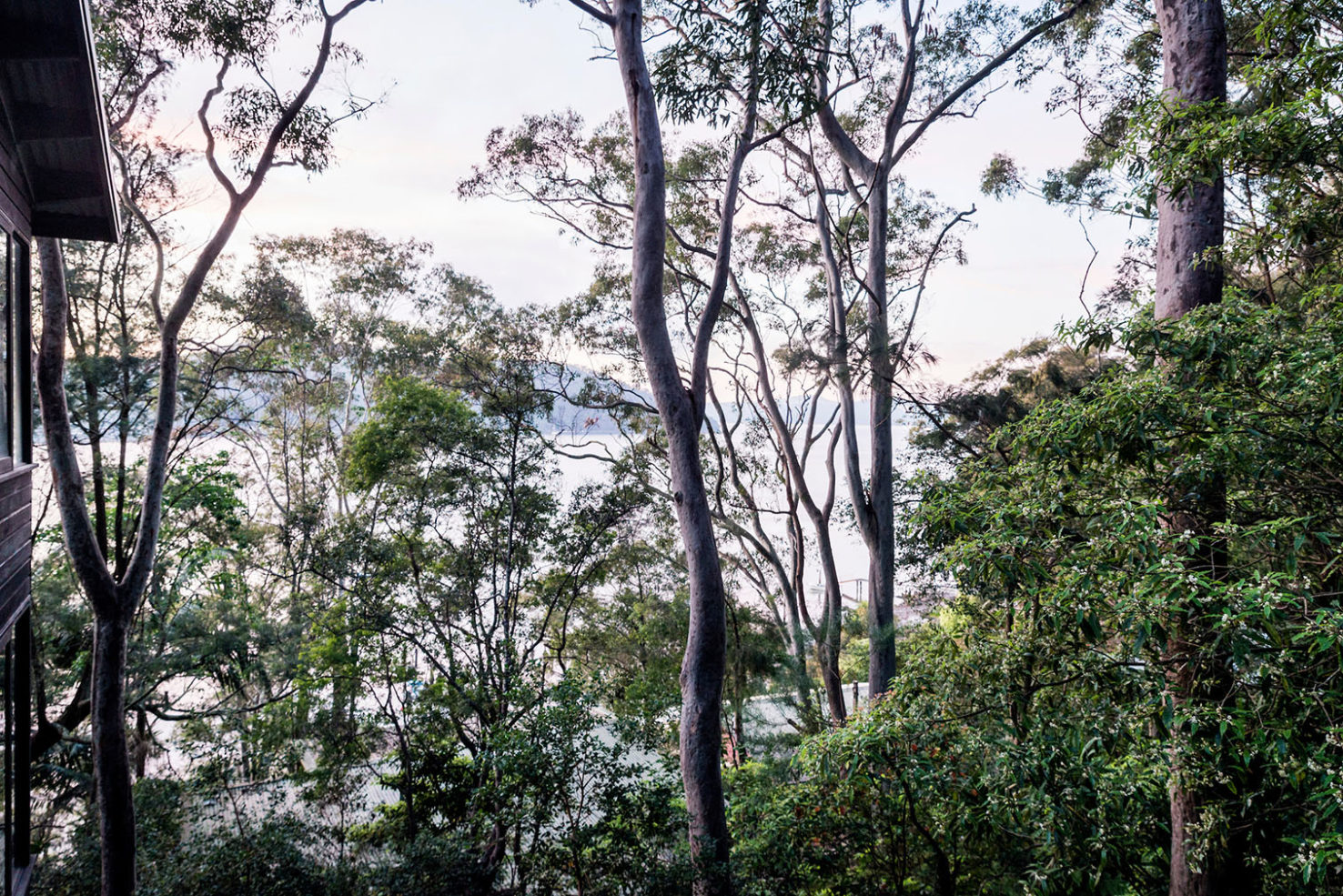 A design writer’s secluded bush retreat is for sale in Australia’s