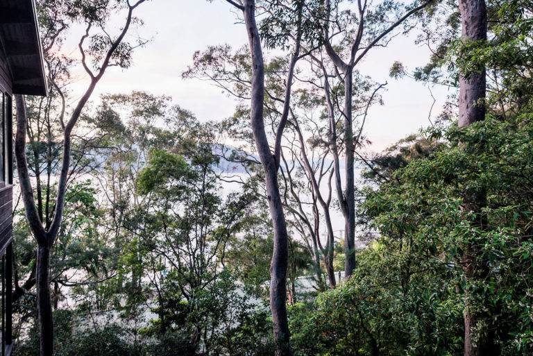 A design writer’s secluded bush retreat is for sale in Australia’s Dangar Island The Spaces