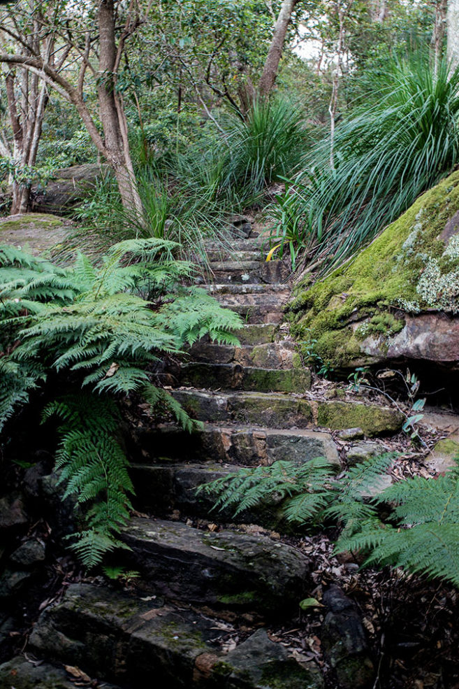 A design writer’s secluded bush retreat is for sale in Australia’s