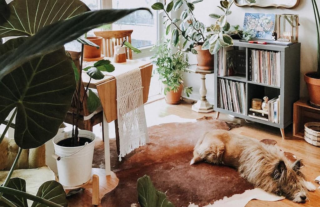 Interior inspiration to kick-start your week