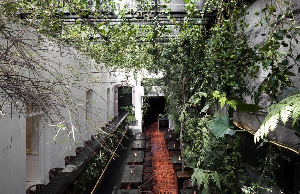 Creepers cover the walls of Mexico City’s Xuva restaurant