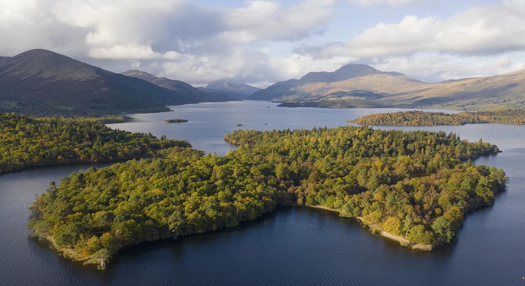 Inchconnachan or 'Wallaby Island' in Loch Lomand, Scotland