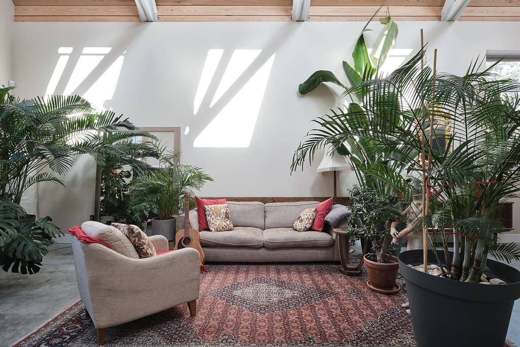 Ex-mission hall hides huge volumes in South London