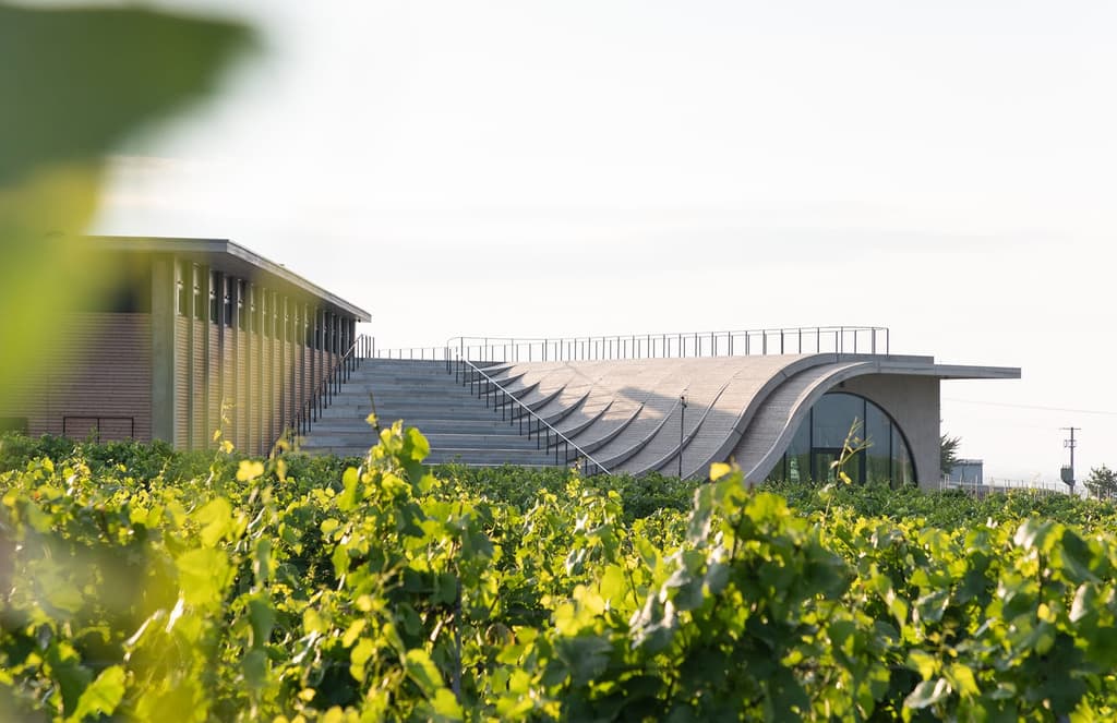 Lahofer winery offers a taste of brutalism among Dobšice's vineyards