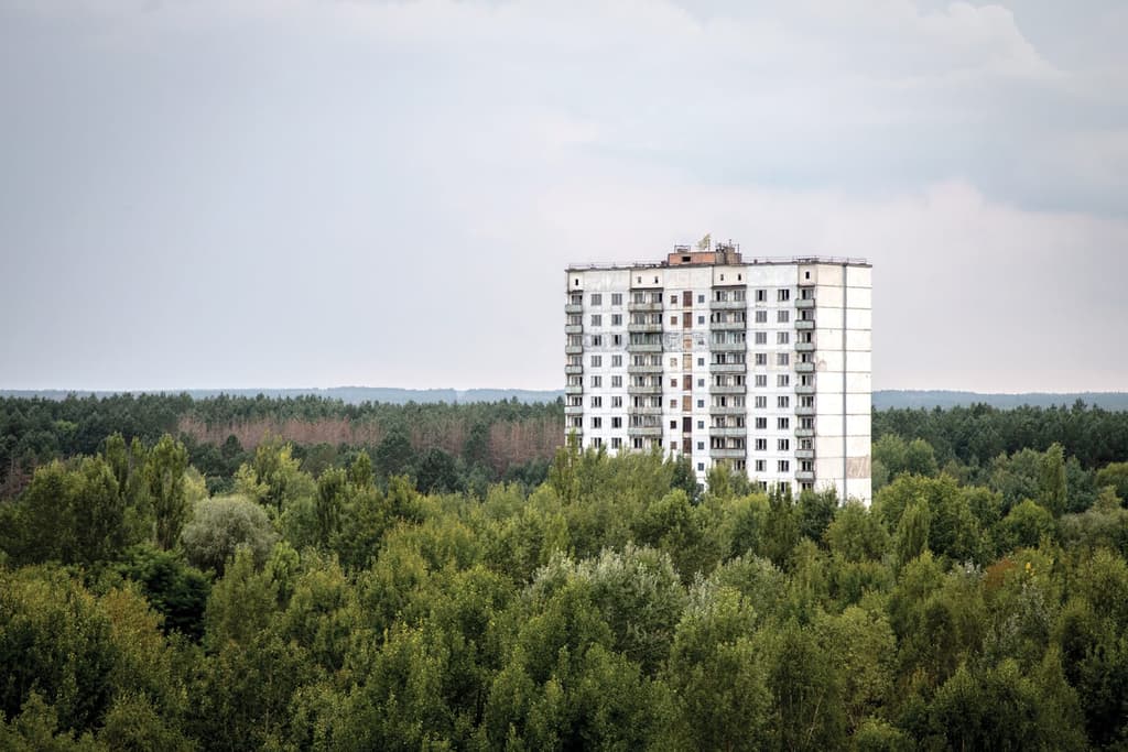 Residential building, Pripyat outskirts. The city is completely enveloped in a dense blanket of forest, blurring its former perimeters. © Darmon Richter / FUEL Publishing