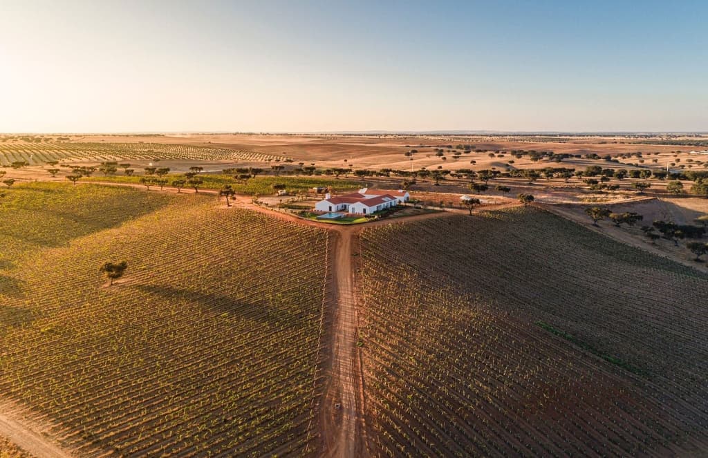 Herdade da Malhadinha Nova is a rural paradise in the depths of Alentejo