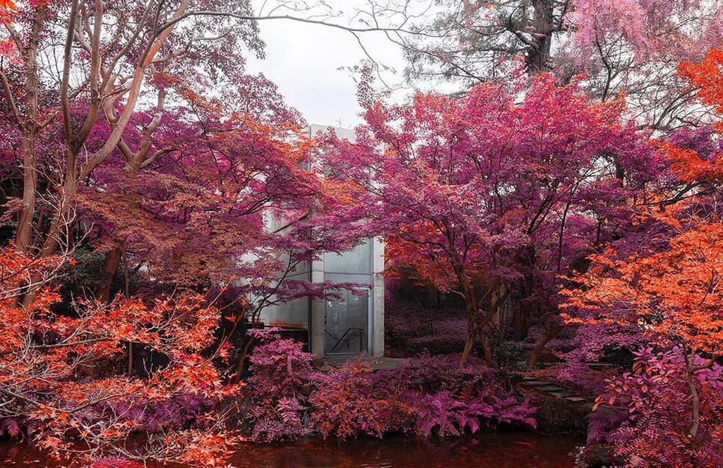 The spaces you like: 5 of your latest discoveries