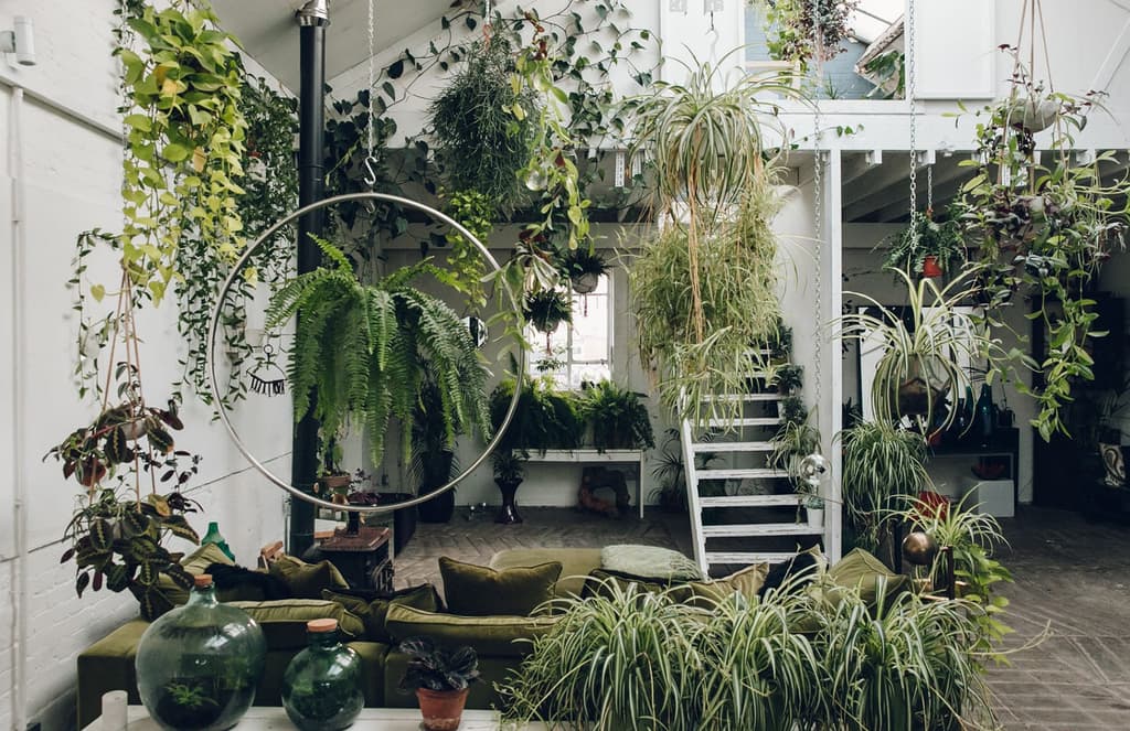 Garden rooms on Pinterest that will leave you green with envy