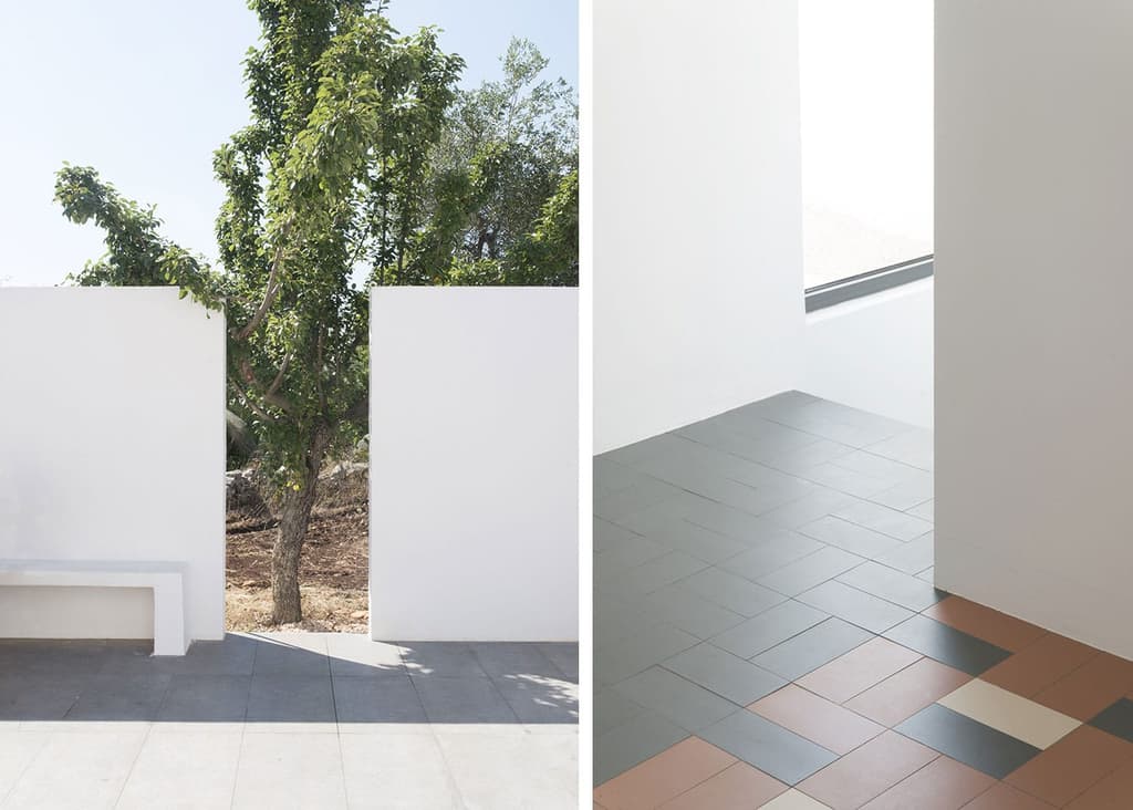 The house is blanketed by white-washed walls, with openings that frame the landscape and surrounding olive trees