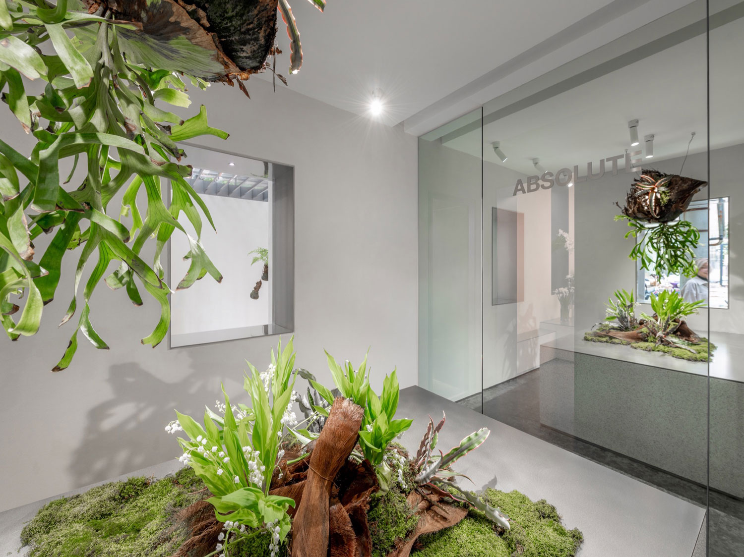 Shanghai's Absolute Flowers concept store a white-cube gallery for plants