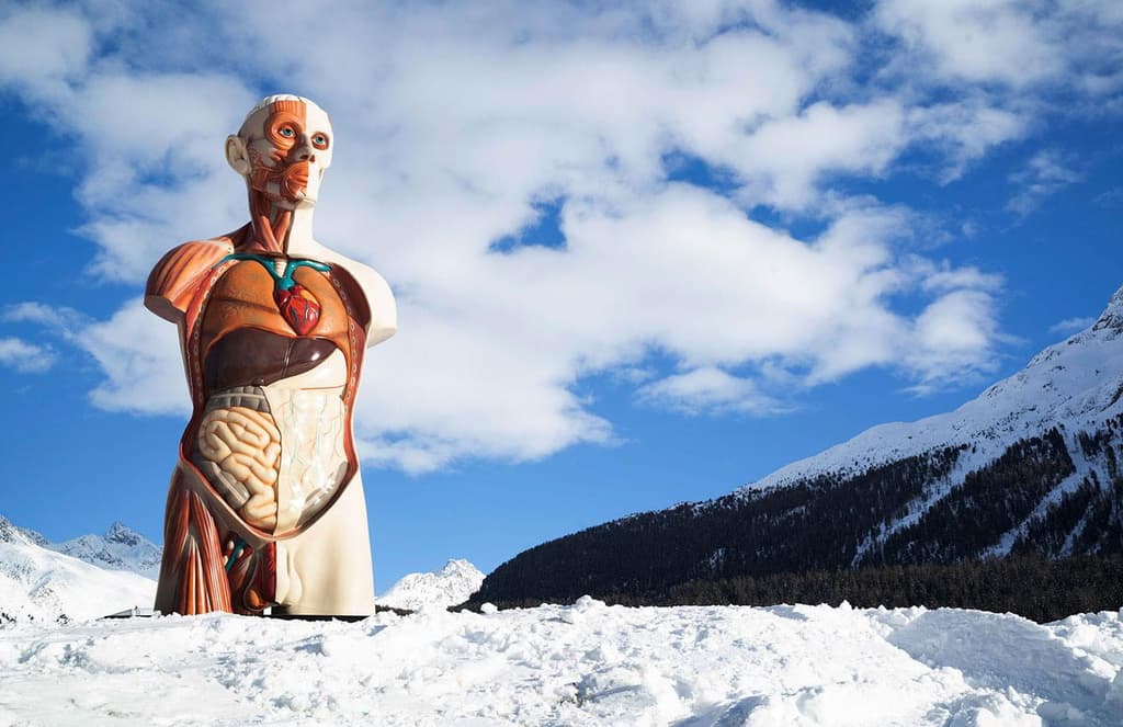 Damien Hirst installs his monumental sculptures on the shore of Lake St Moritz