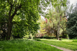 The converted stable sits within a quiet, protected pocket of south London that's close to transport links