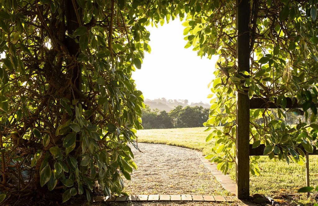 Explore a pair of hidden homes in the Byron hinterland