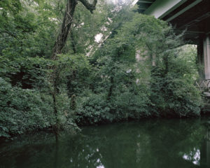 The bridge crosses the river and its banks, which are crowded with trees