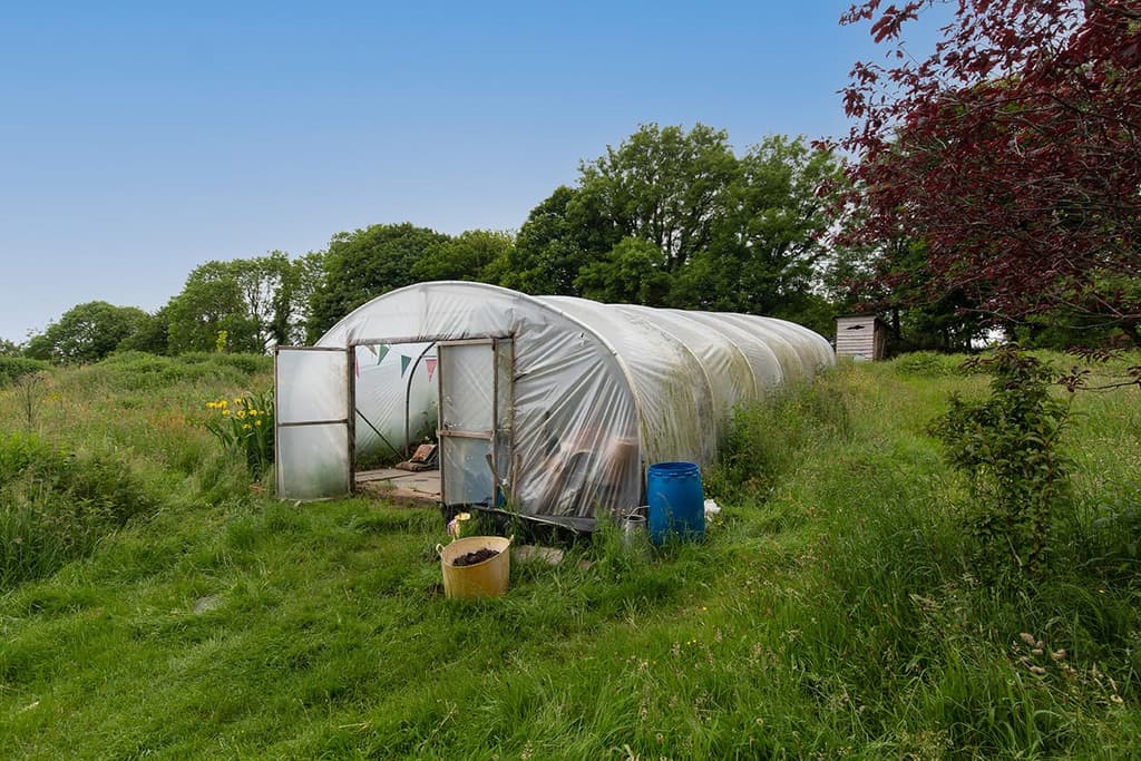 Four acres of land provides enough space to cultivate food for the house's owners and also sell whatever is left