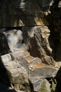 Villa Lario is a freshly revamped hotel on Lake Como, Italy