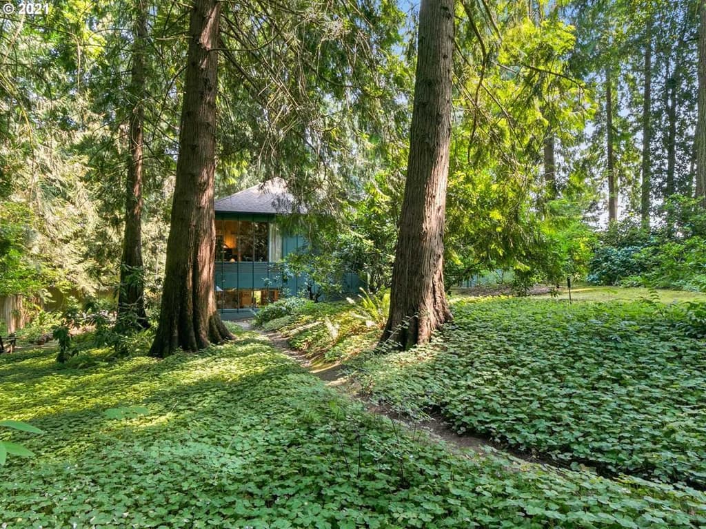 Our top properties of the week