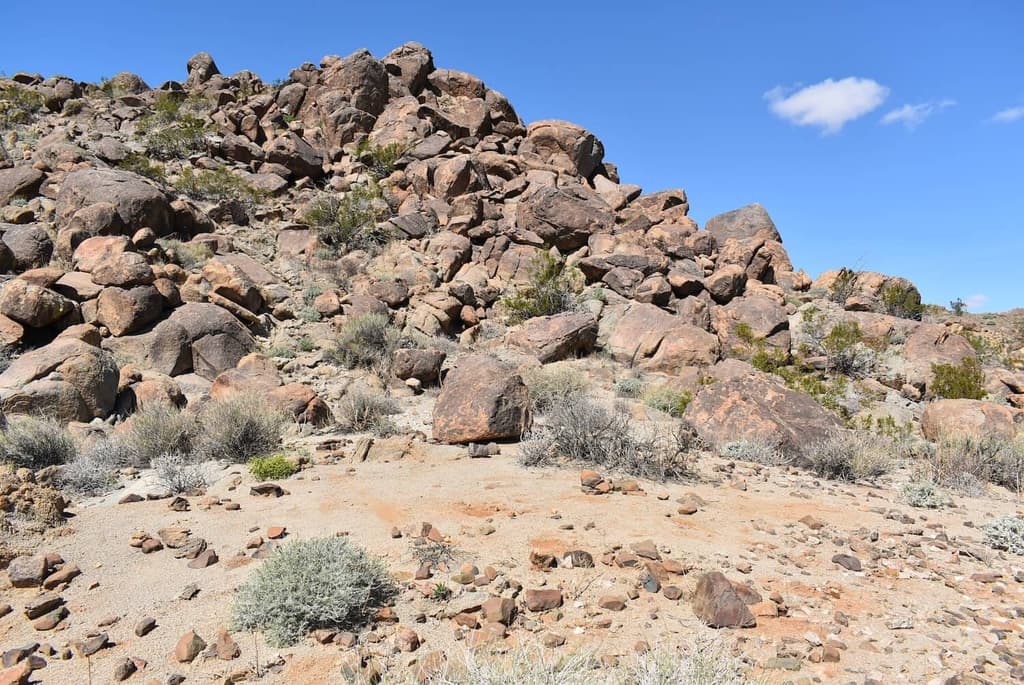 1824 Mountain Shadow Road Joshua Tree, CA 92252