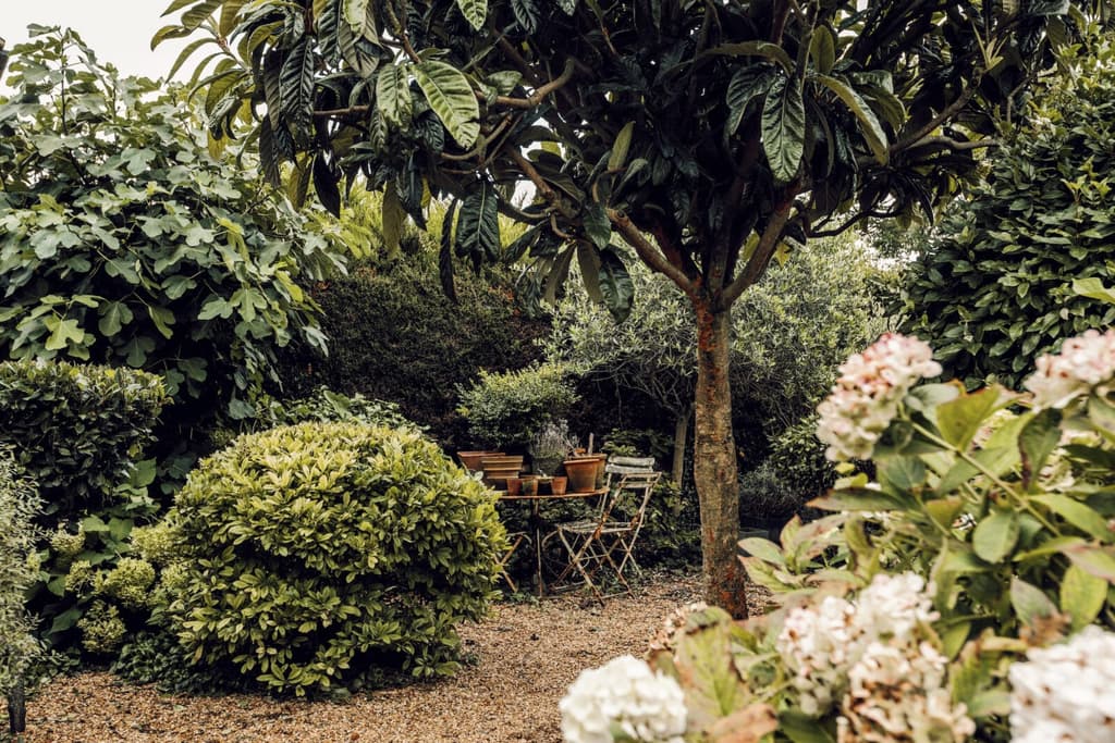 An 18th-century workshop is now a rustic home in east Sussex