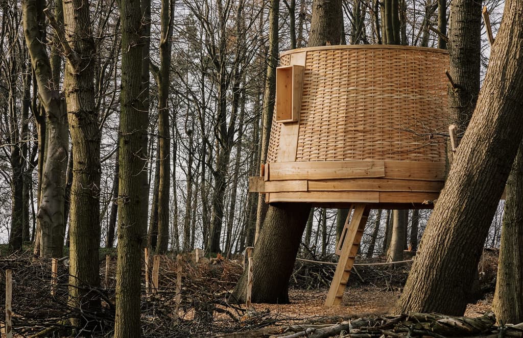 Sylvascope is a ‘woven’ treehouse made from the woodland that surrounds it